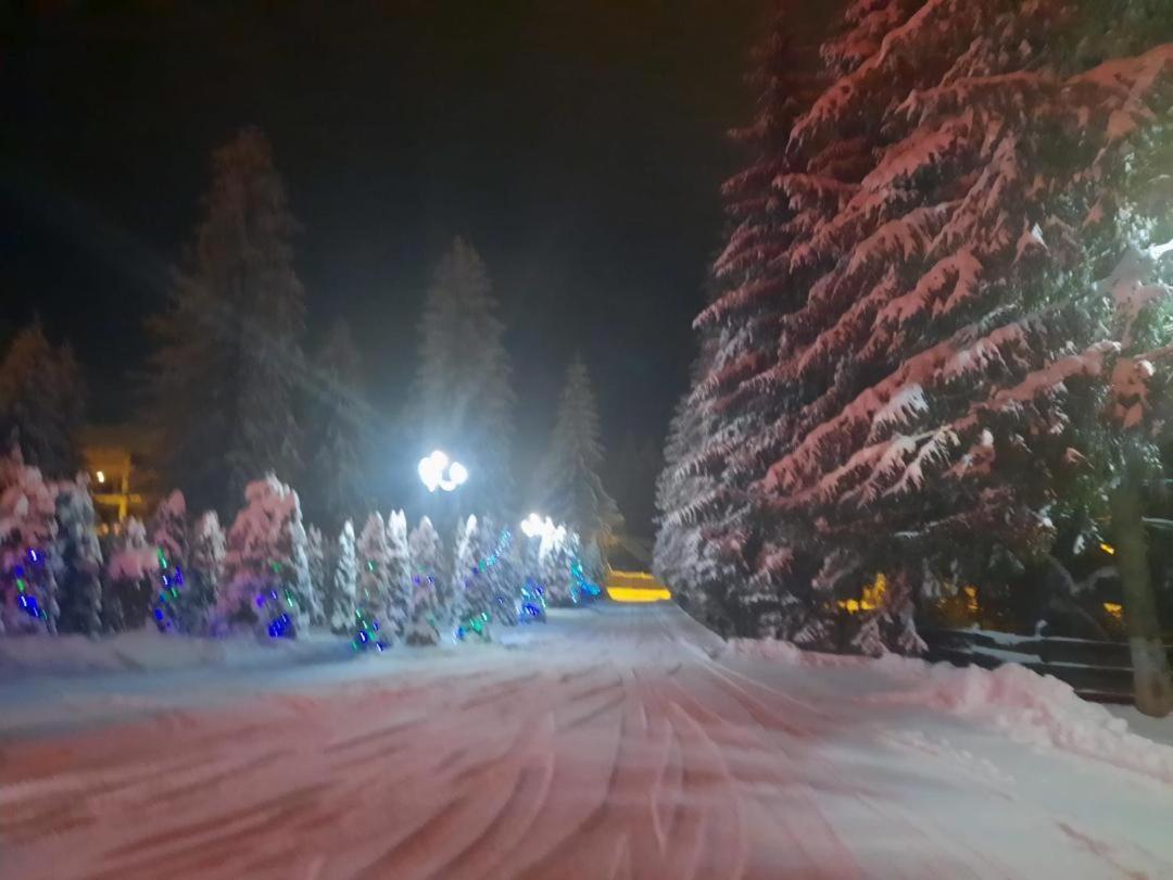 Hotel Hart Predeal Dış mekan fotoğraf
